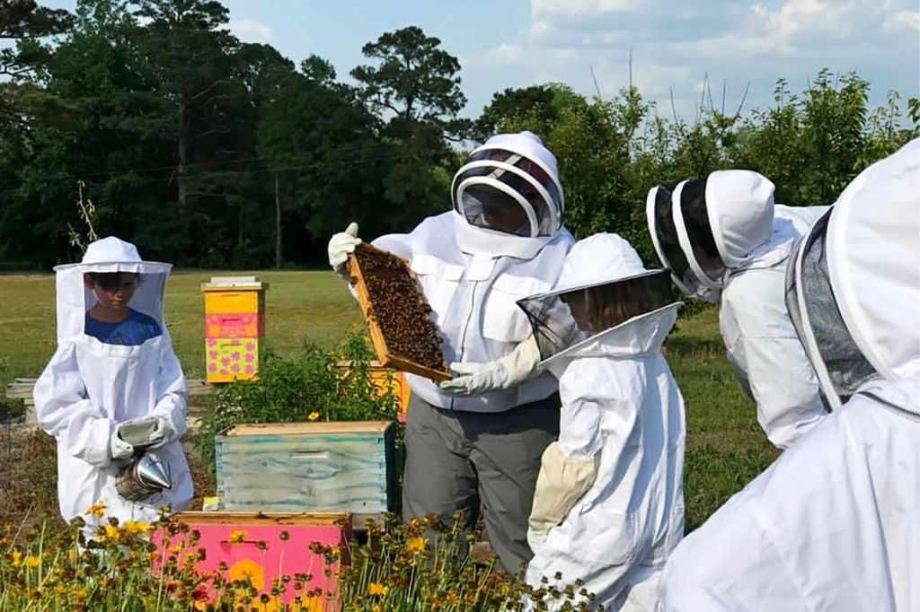 Πολυάσχολες μέλισσες